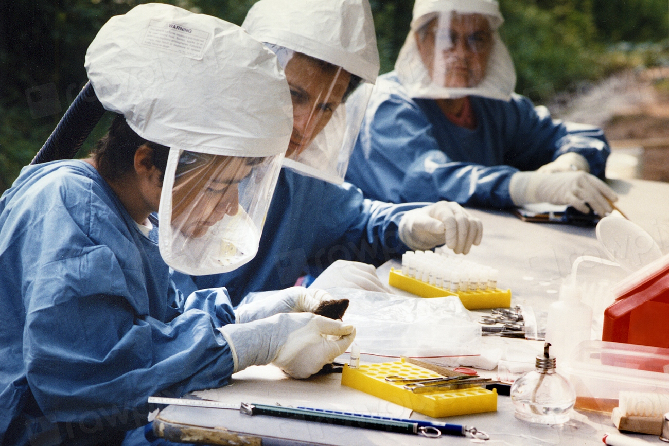 Why Managing Hantavirus Exposure in Travelers Varies Globally